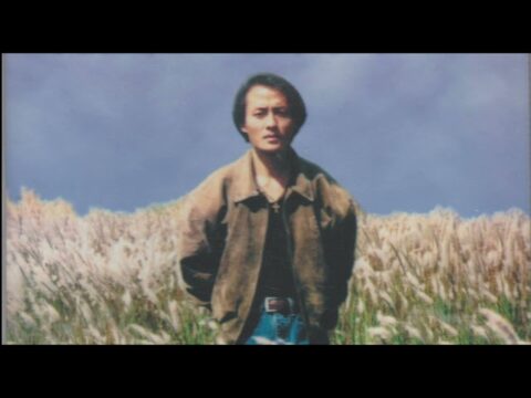 hmong song pov thoj -  Npua Suav Hlub