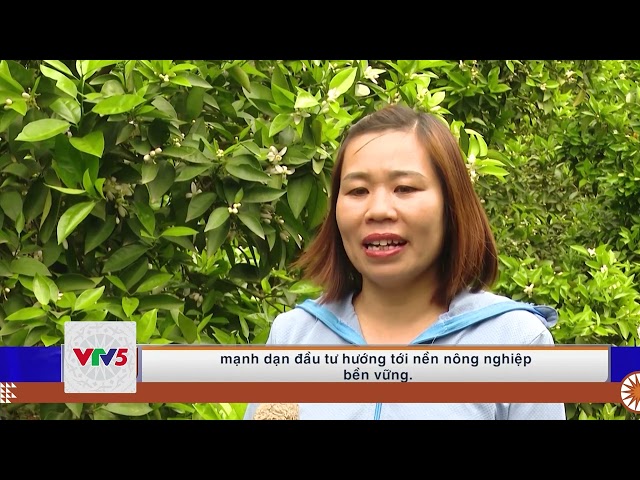 [TIẾNG MÔNG] NHỮNG NỮ GIÁM ĐỐC HTX NĂNG ĐỘNG | VTV5