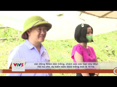 [TIẾNG MÔNG] THÈN SIN THỰC HIỆN CÔNG TÁC XÓA ĐÓI GIẢM NGHÈO THÔNG QUA CÁC CHƯƠNG TRÌNH HỖ TRỢ | VTV5