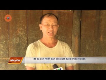 [TIẾNG MÔNG] NẬM PÌ TRIỂN KHAI CÁC CHƯƠNG TRÌNH HỖ TRỢ PHÁT TRIỂN NÔNG, LÂM NGHIỆP | VTV5