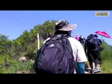 Hiking The Homestead & Annie's Trail at Stebbins Cold Canyon