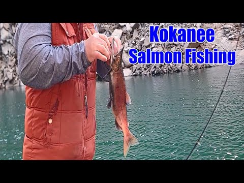 Kokanee Salmon Fishing