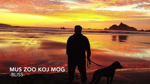 Mus Zoo Koj Mog - Bliss