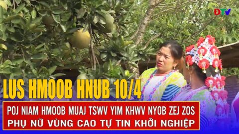 Poj niam Hmoob muaj tswv yim ua noj nyob zej zos | Xov tooj cua lus  Hmoob Dien Bien 102025